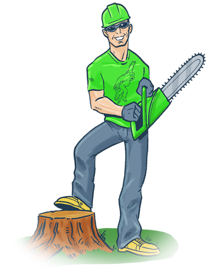 Tree Removal Services Near Me in Orlando, Best Service ...