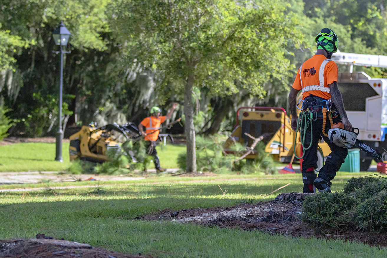 Commercial Land Clearing Orlando