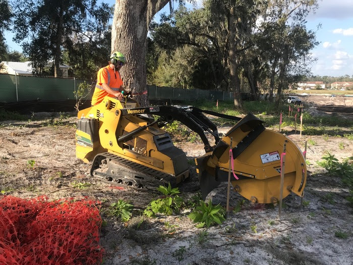 Root Pruning Orlando FL