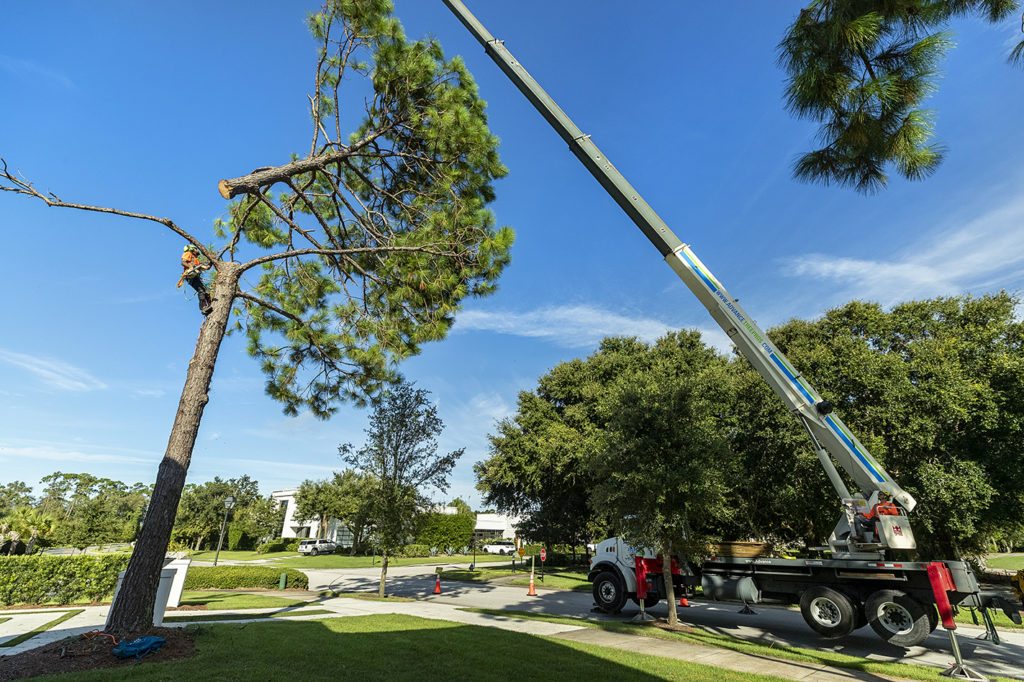 Central Florida Tree Removal​ & Crane Service