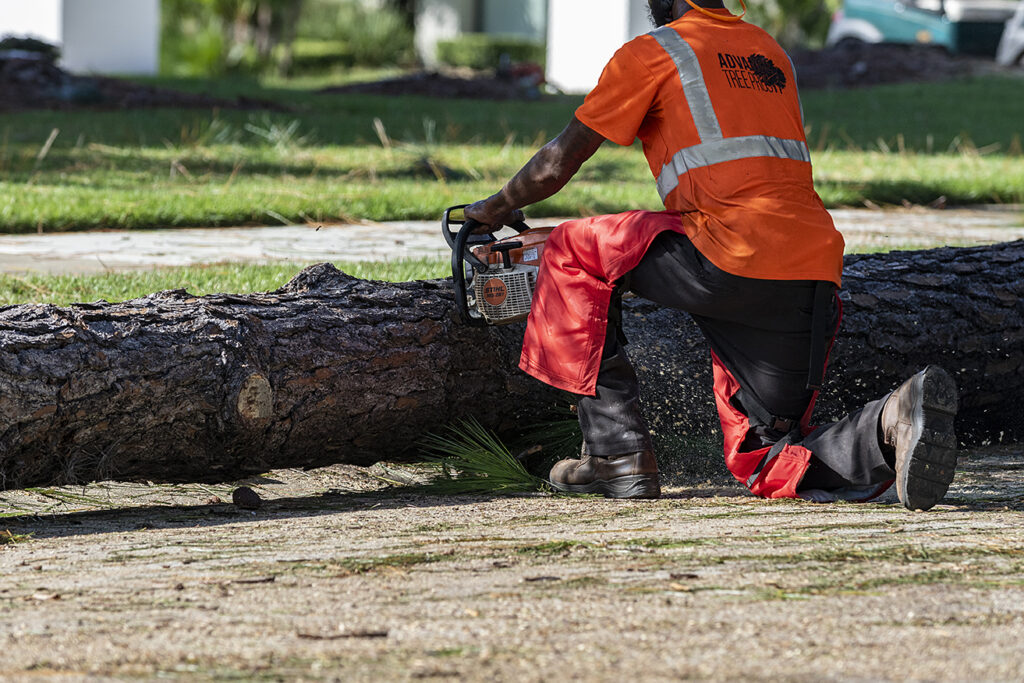 Top Central Florida tree removal company