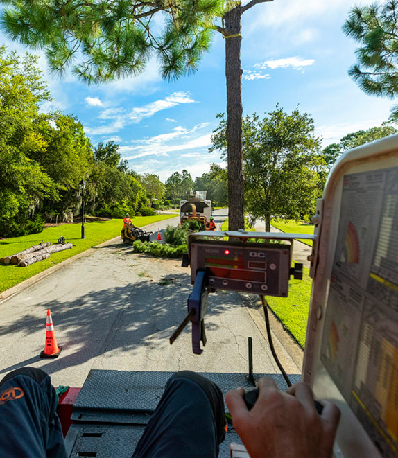 Florida Tree Removal : Orlando Tree Removal : Seminole County Tree Service